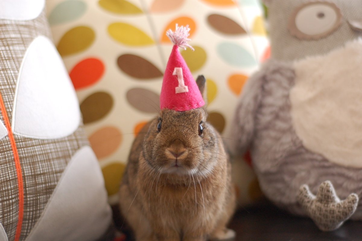 Тортик с кроликом