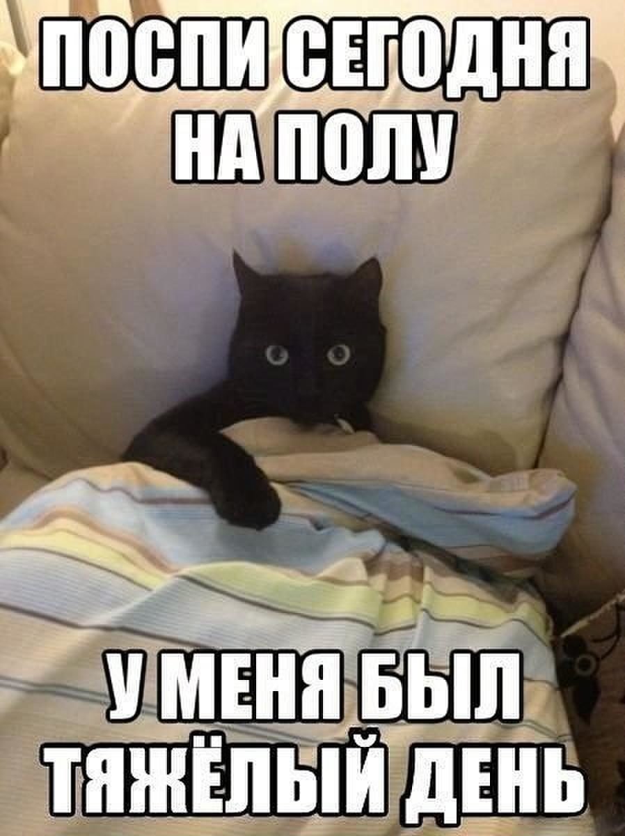 Спокойной ночи прикол