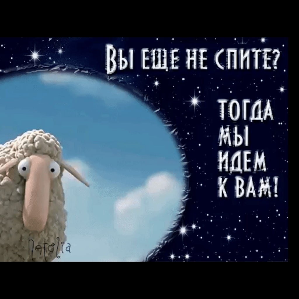 Спокойной ночи барашки