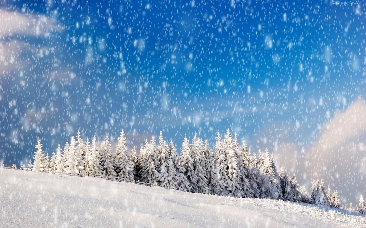 Явления природы снег