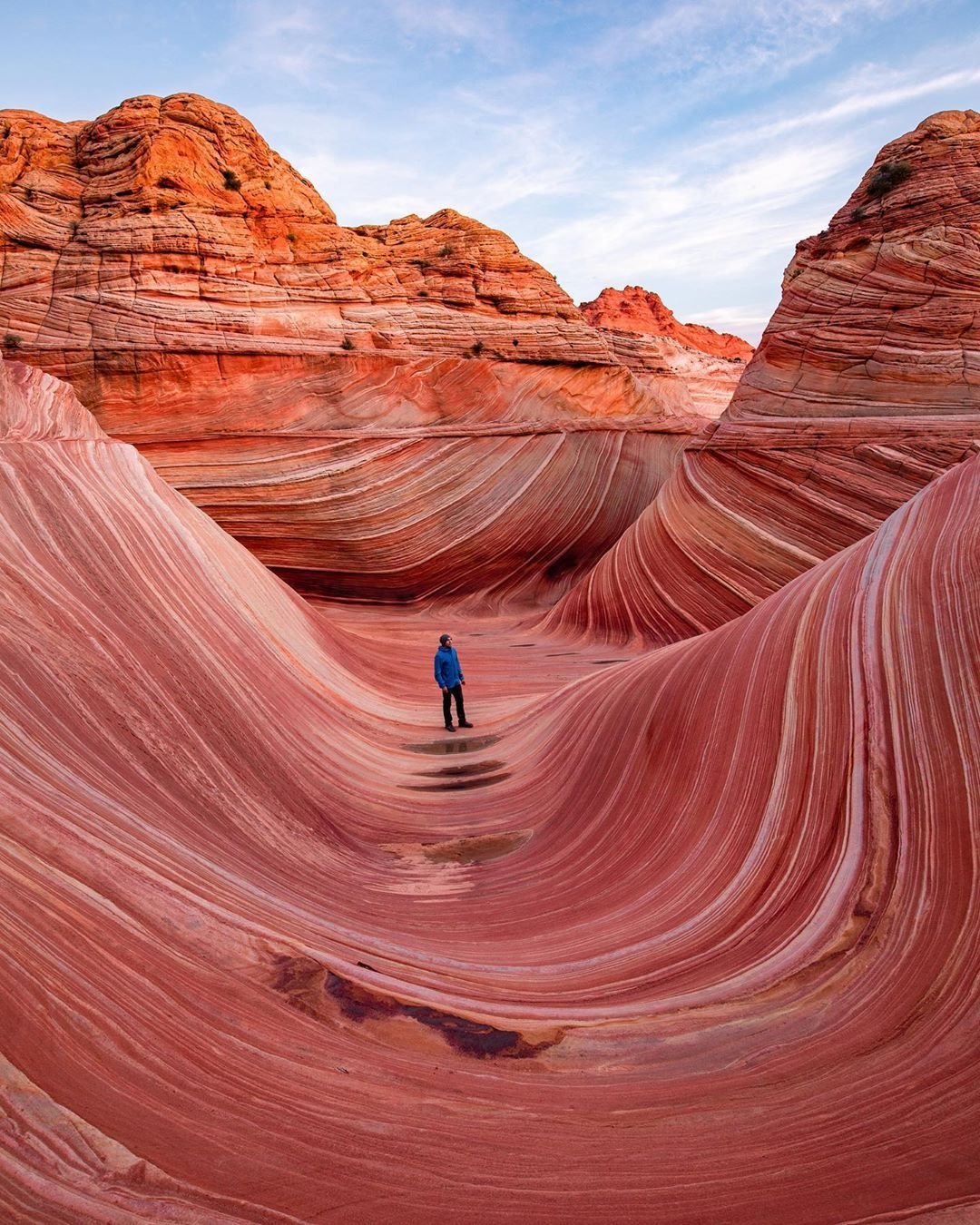 Аризона штат США