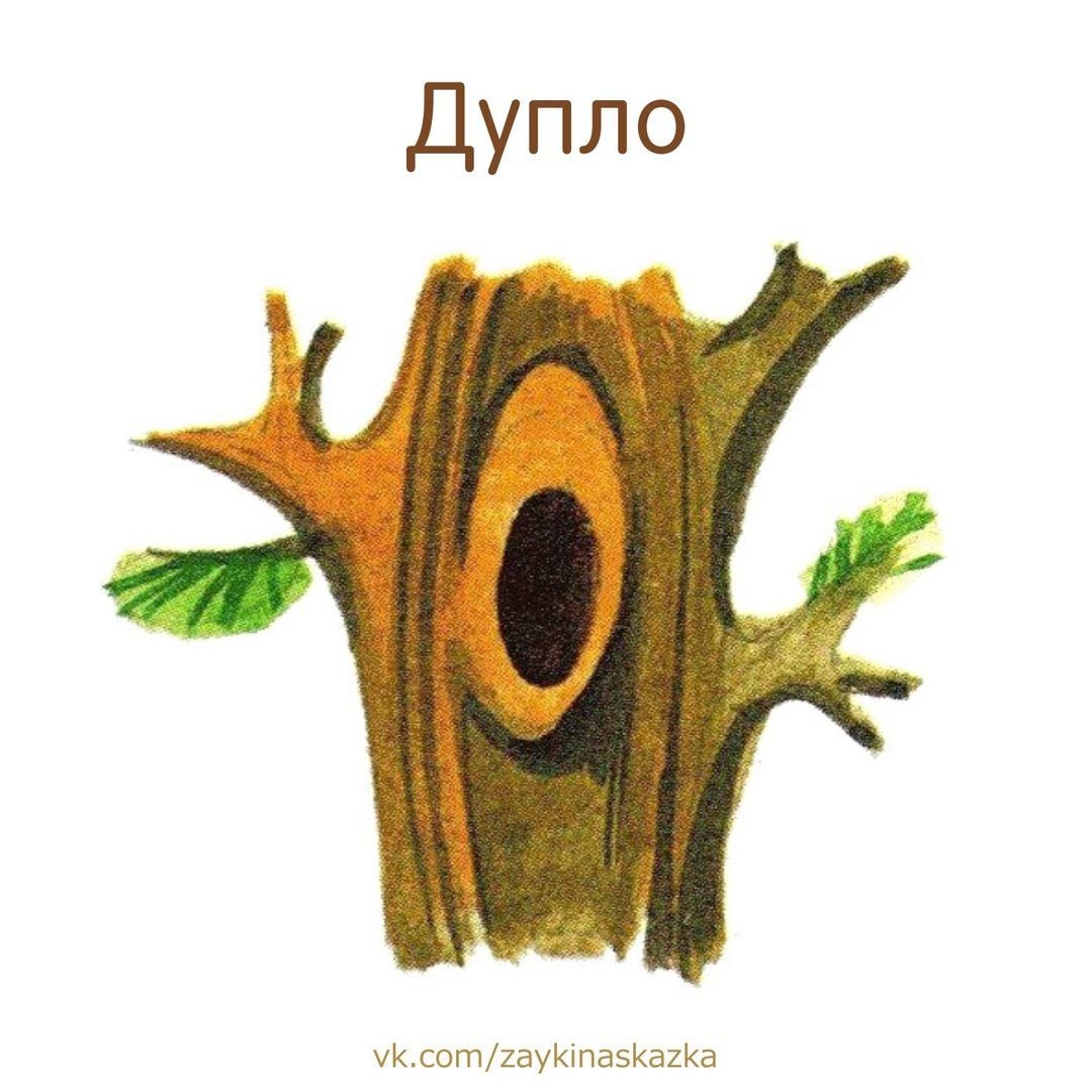 Дупло для детей