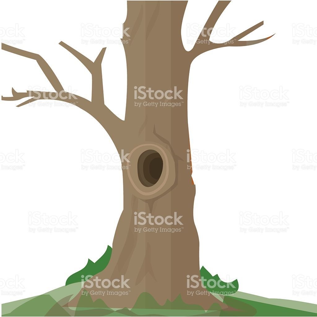 Дерево с дуплом