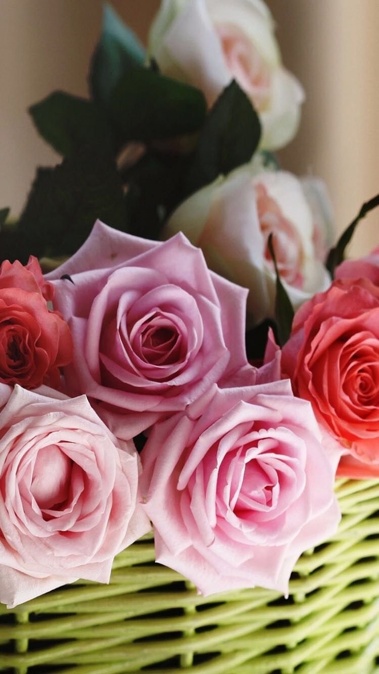 Красивые букеты цветов по вертикали