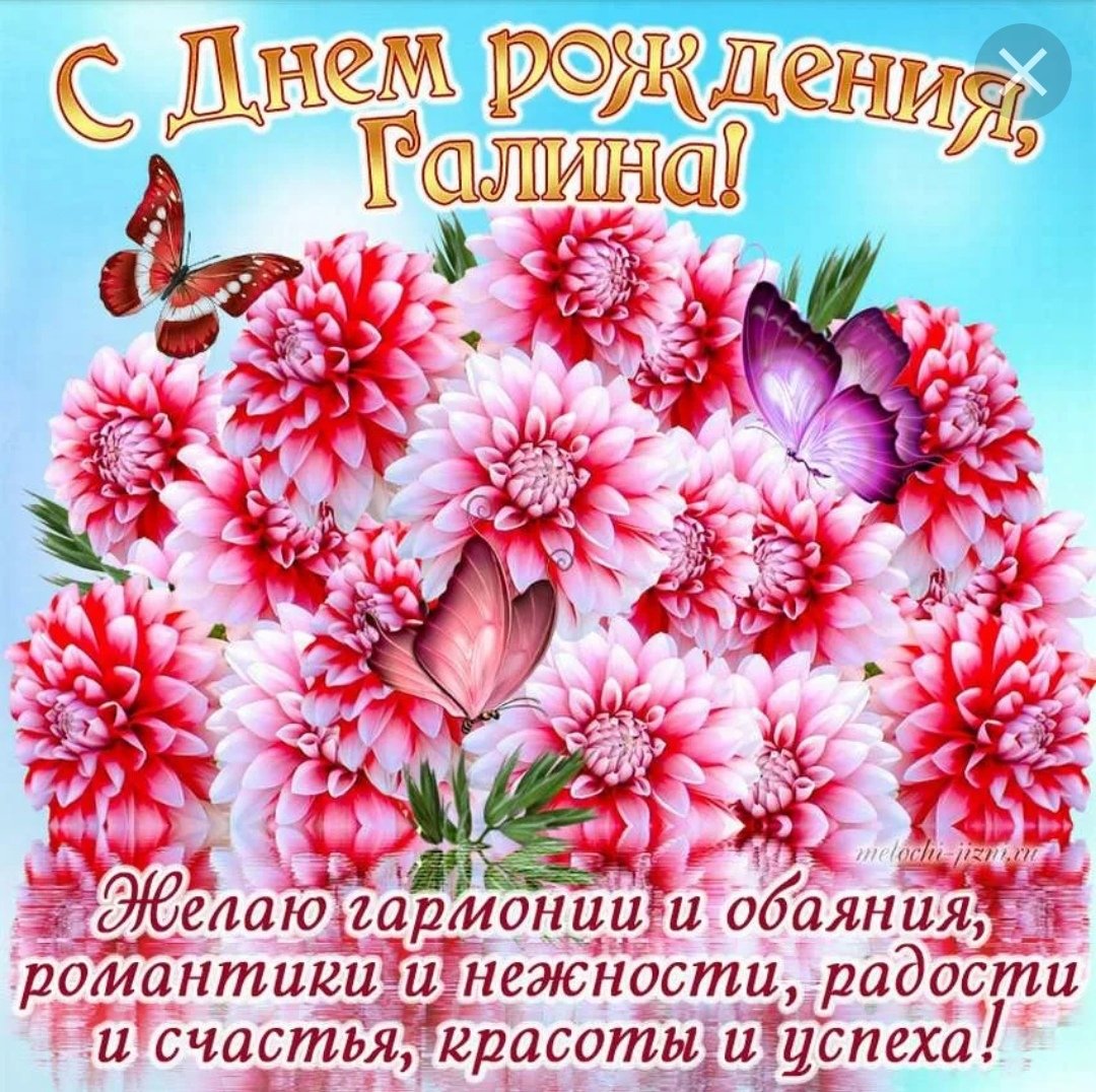 Галина с днем рождения сирень