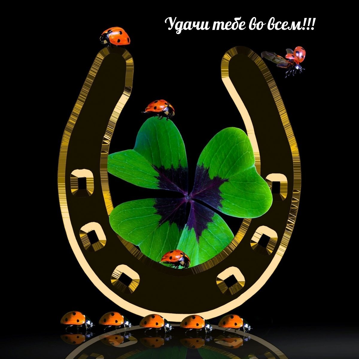 Клевер четырехлистник символ удачи и денег