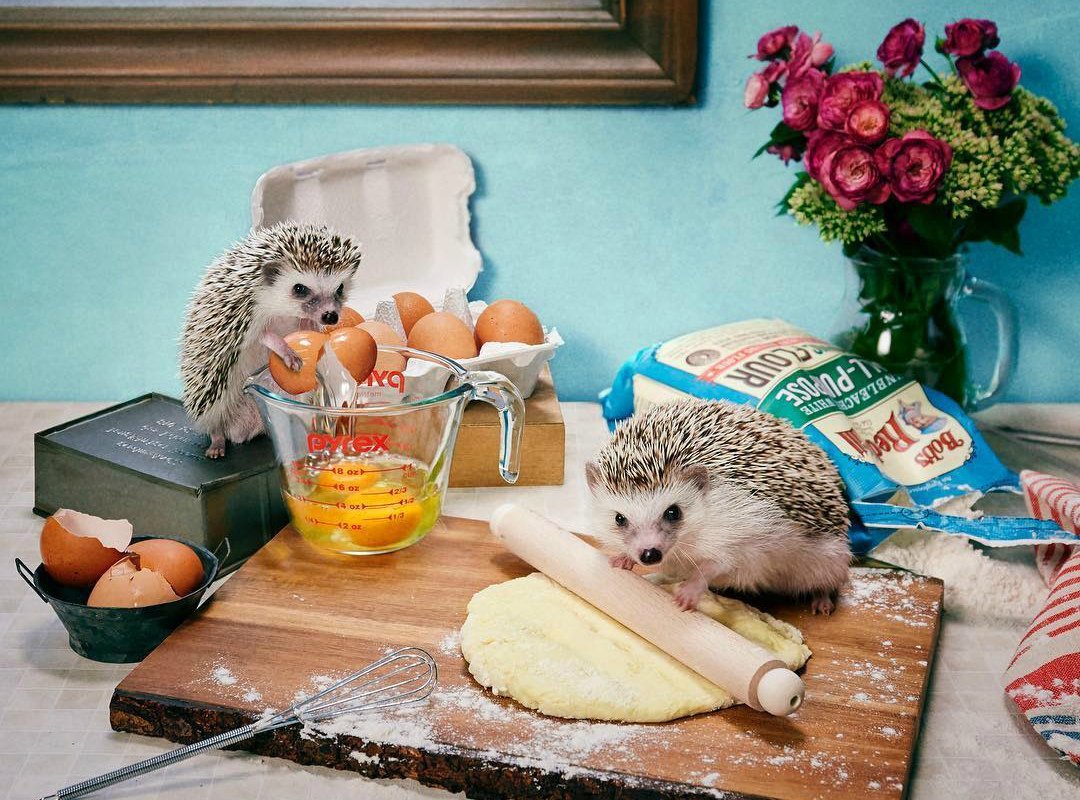 Уютная Сказочная норка