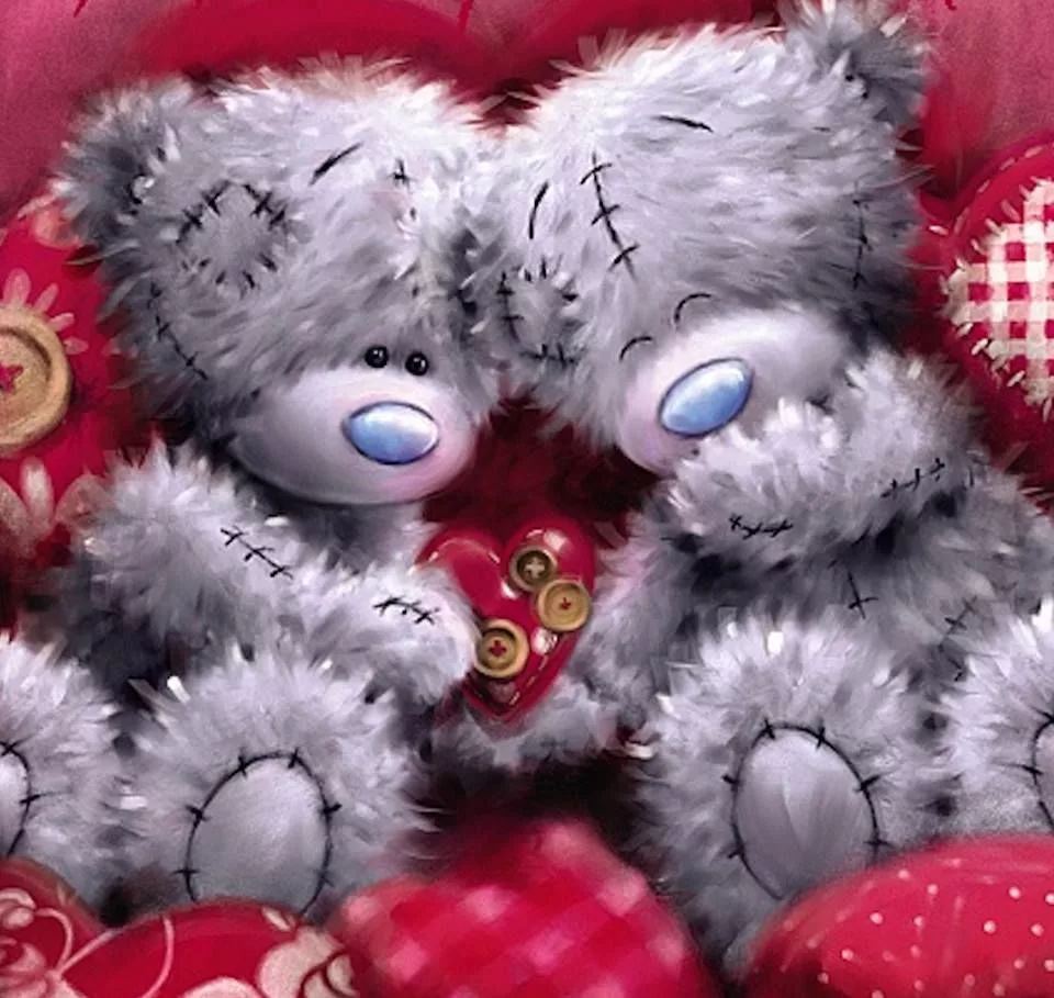 Красивые мишки Тедди