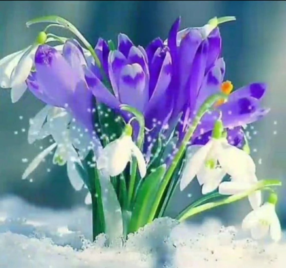 Доброе утро Весна подснежники
