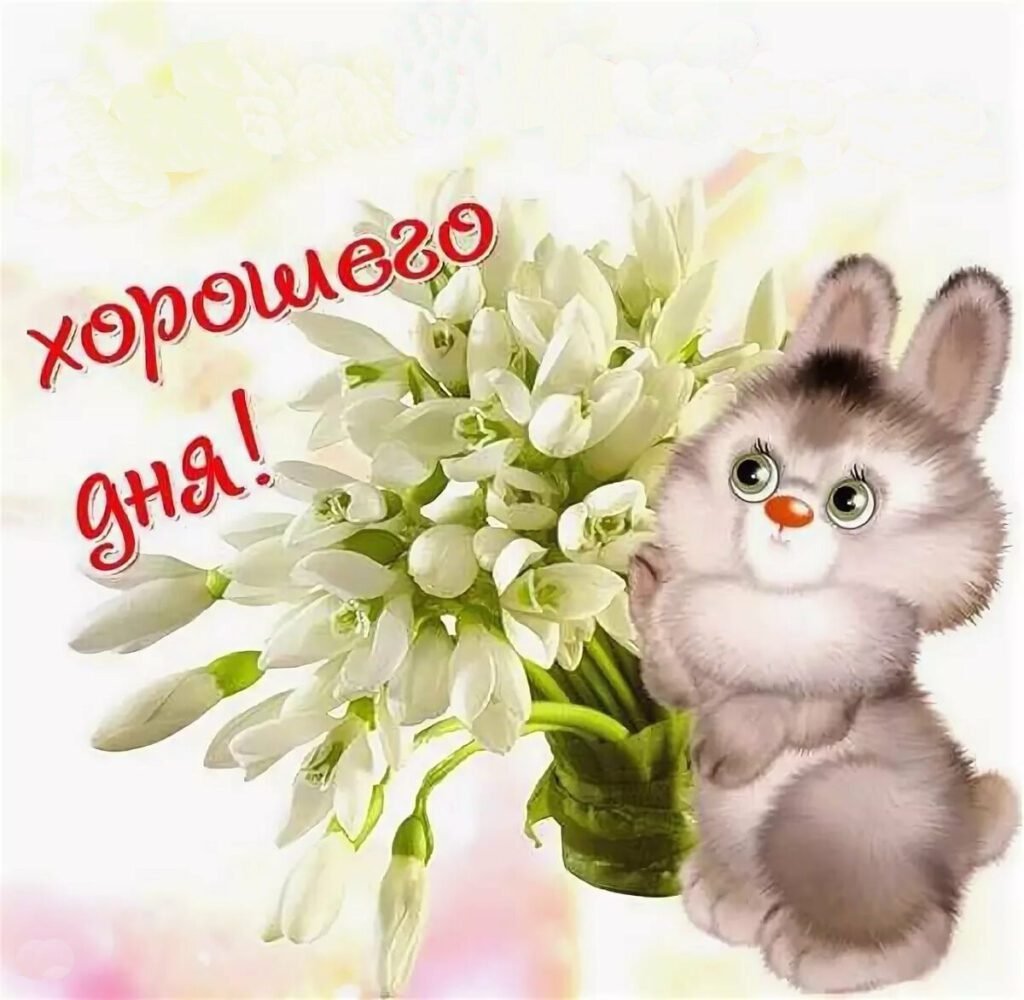 Радости в новом дне с добрым утром