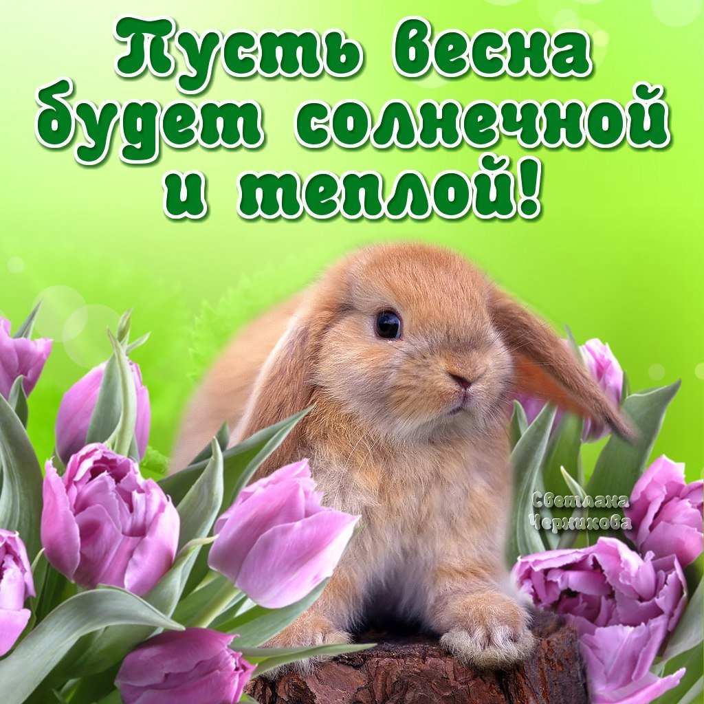 Пусть Весна