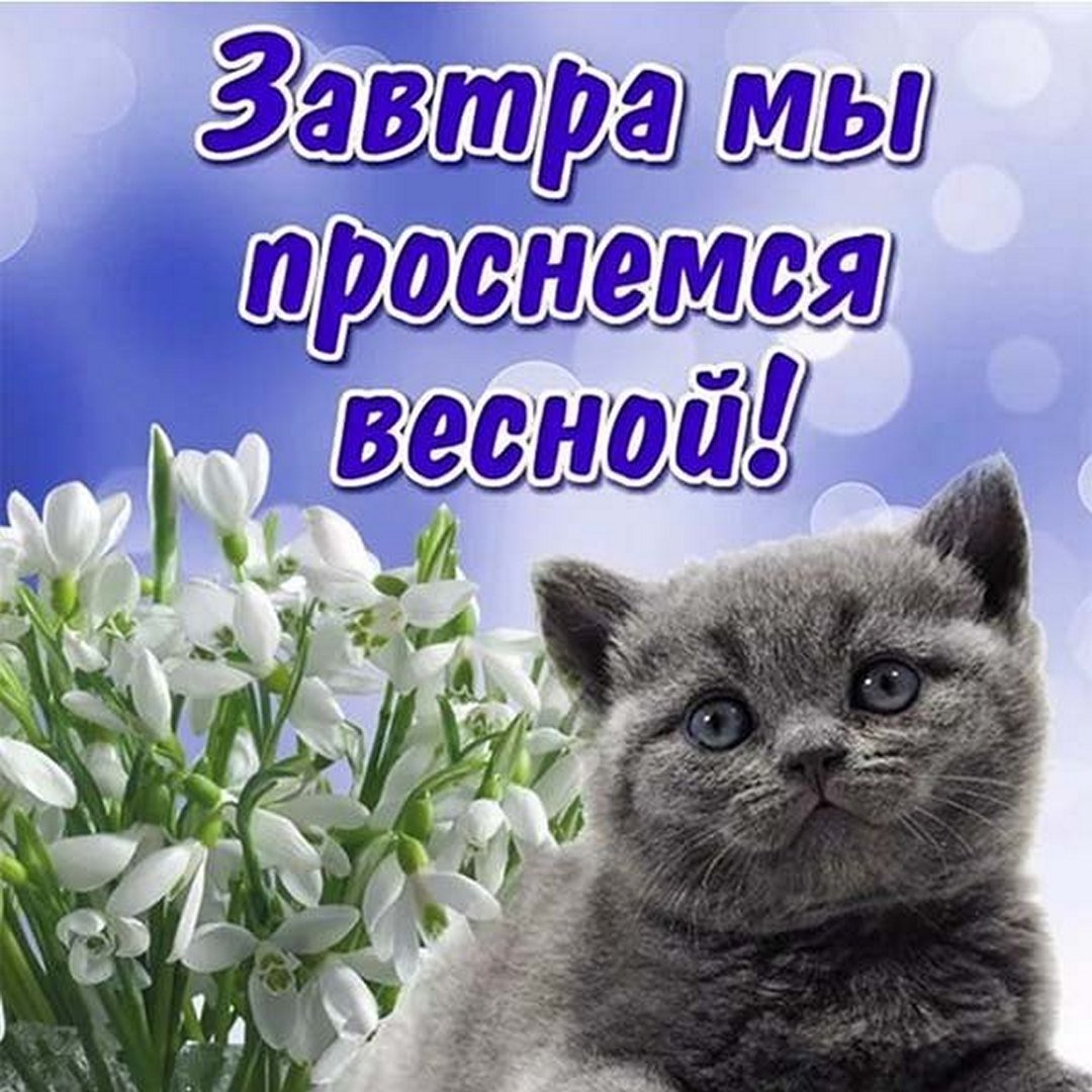 Удачного и счастливого дня