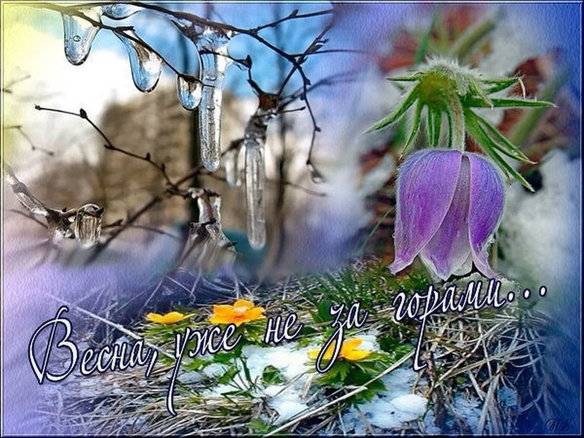 Весенние цветы с пожеланиями