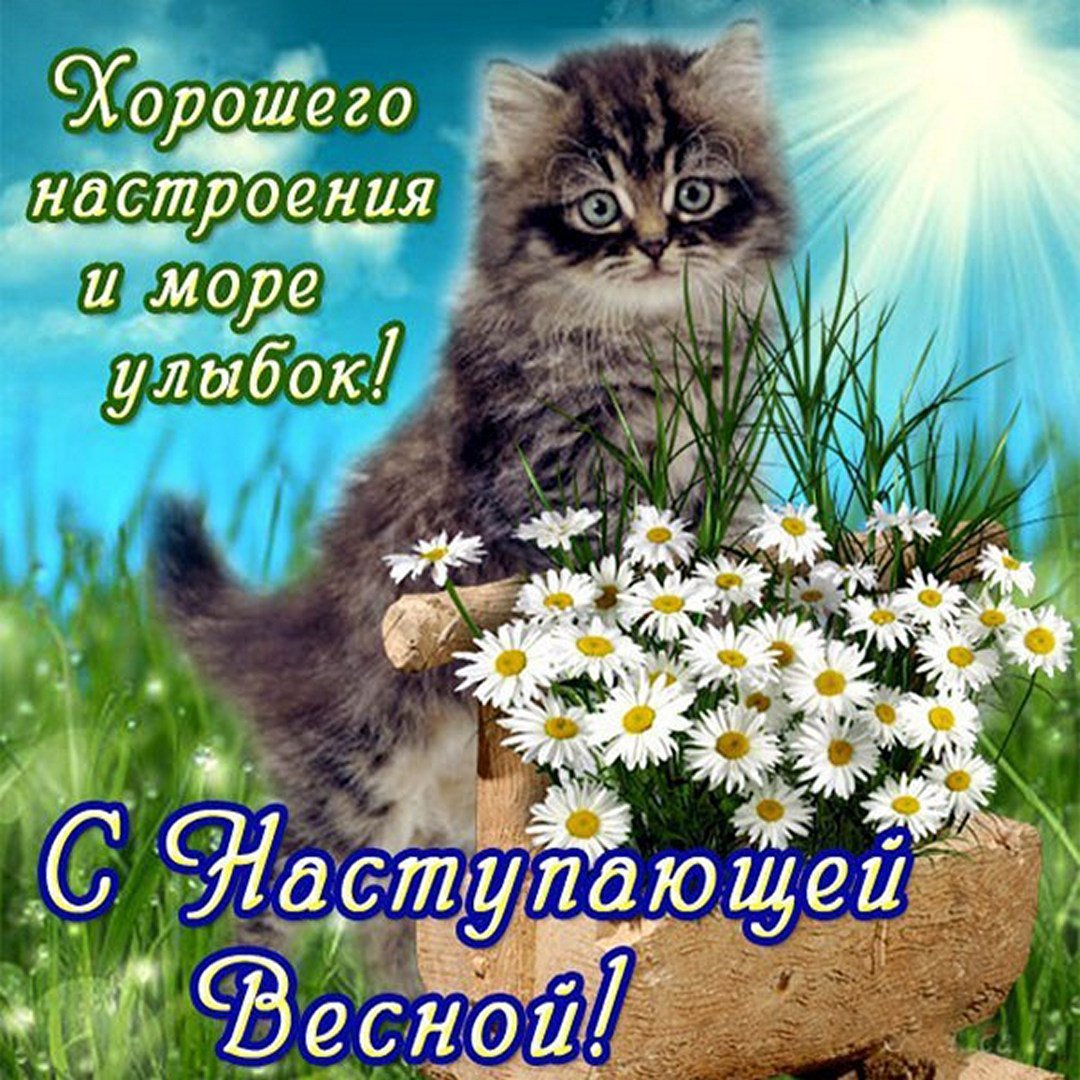 С первым днем весны