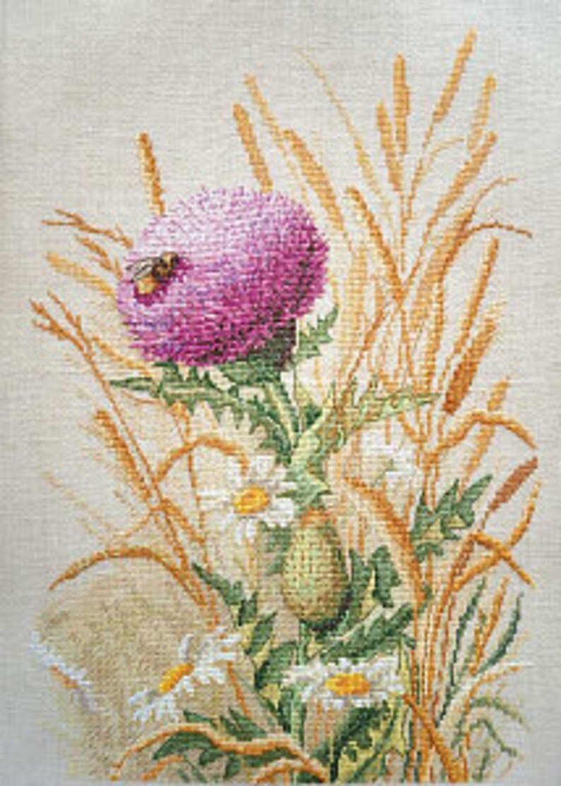 Полевое чудо Марья: 06.002.25