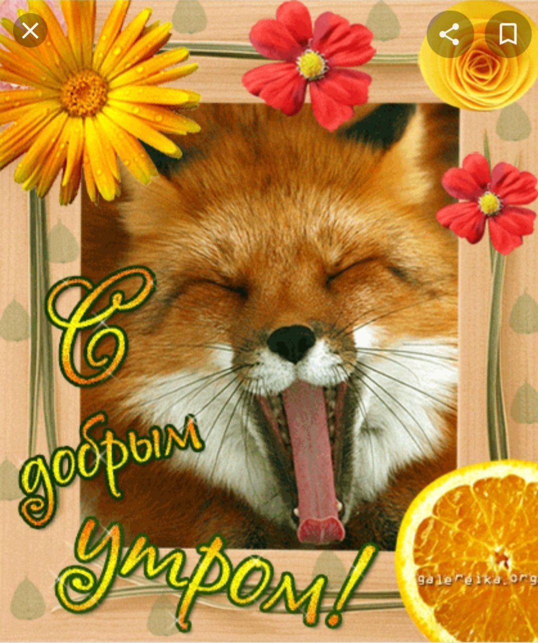 Лисенок спит