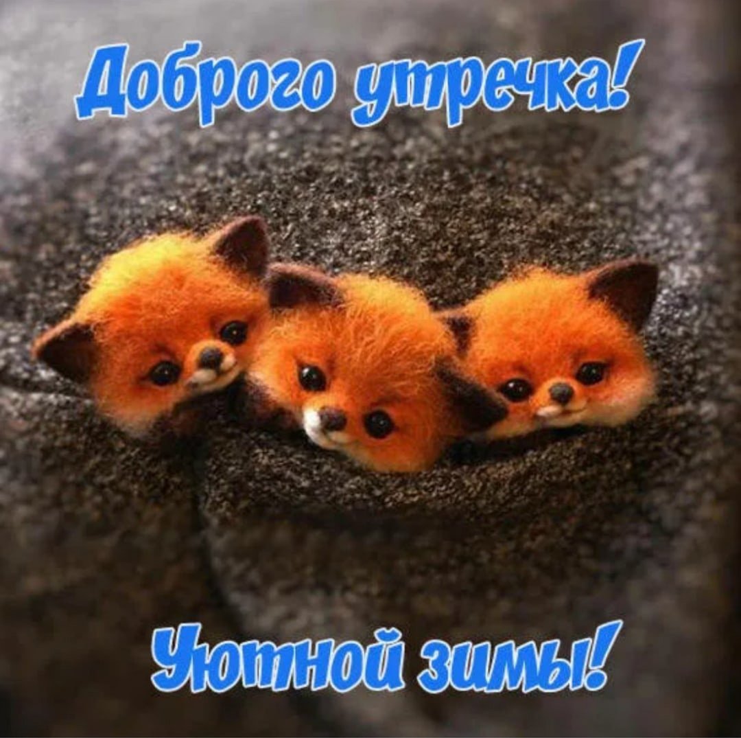 С добрым утром Лисенок