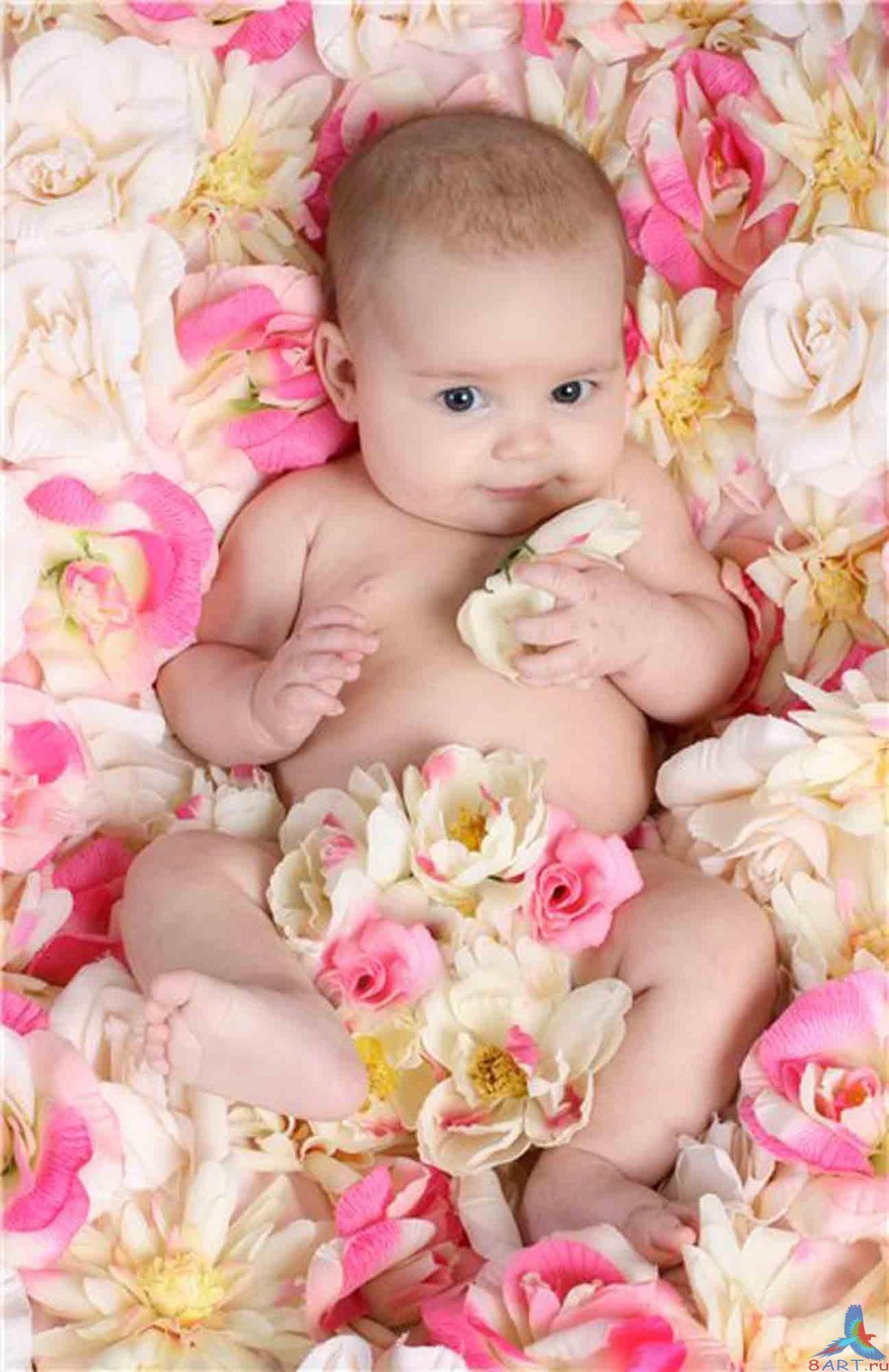 С рождением малыша!