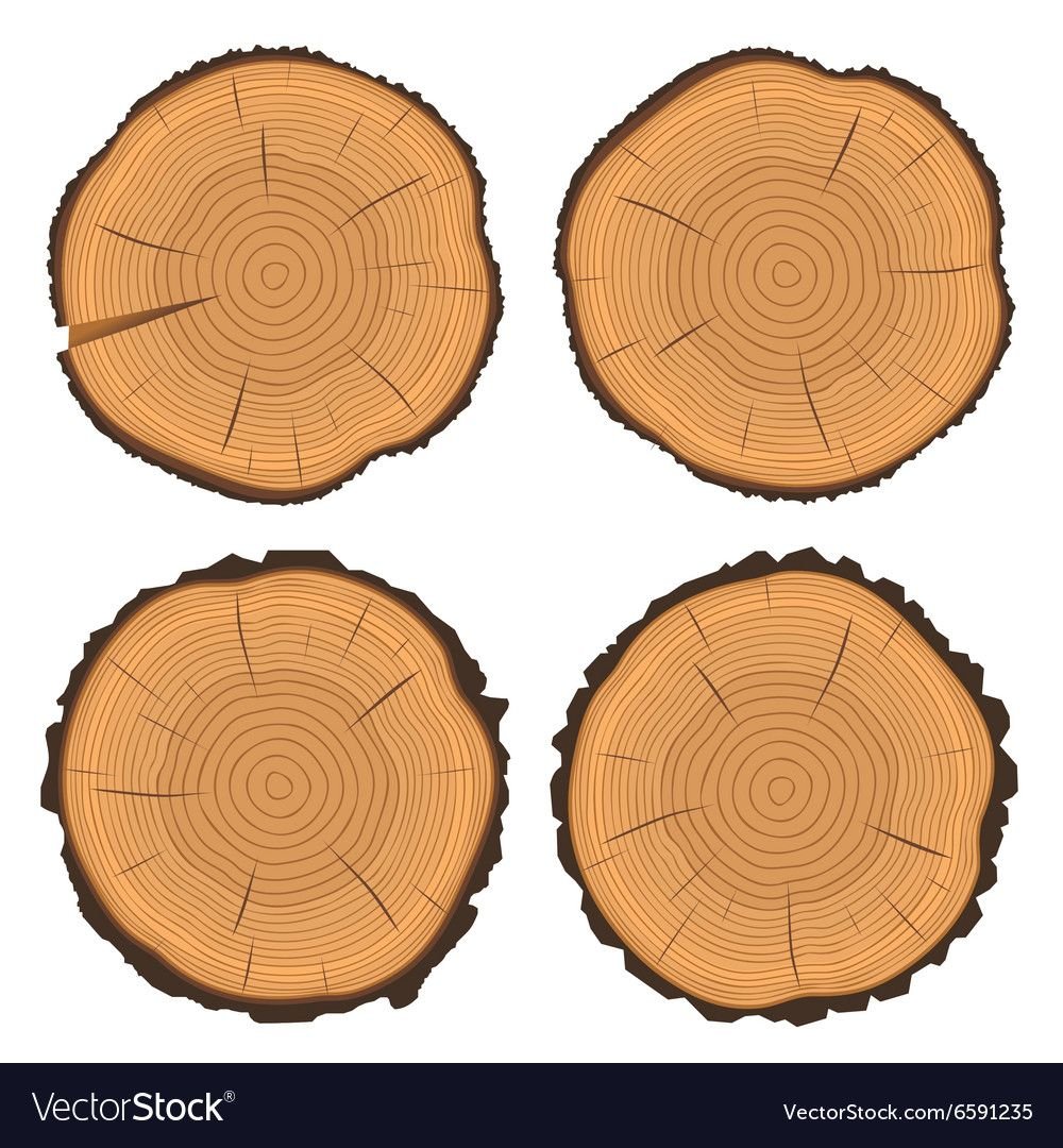 Бревно для детей