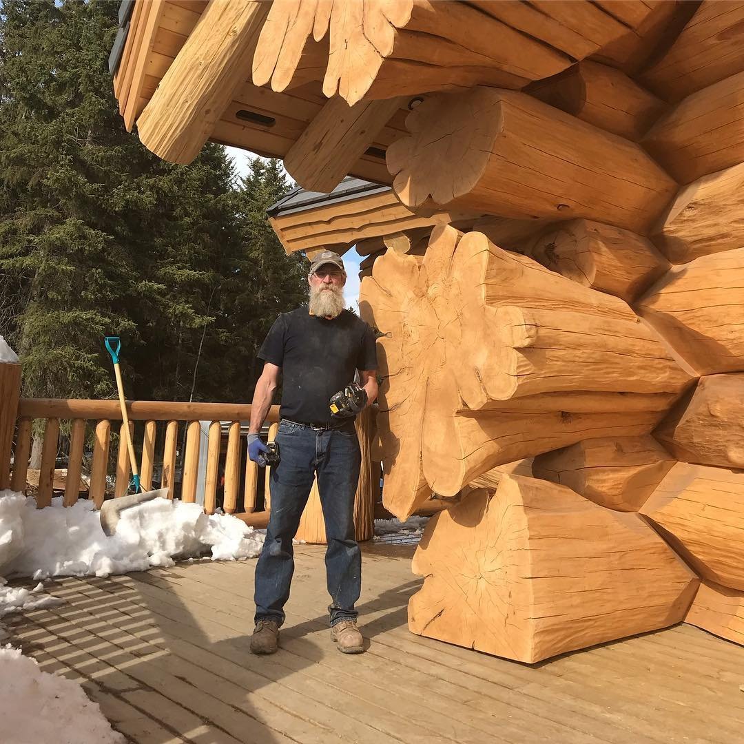 Бревно вектор