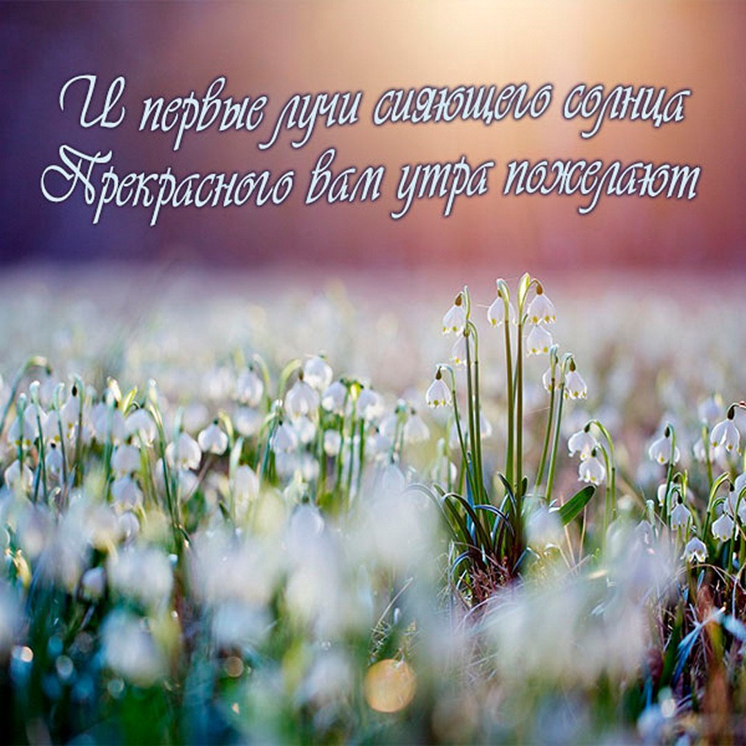 Доброе утро Весна православные