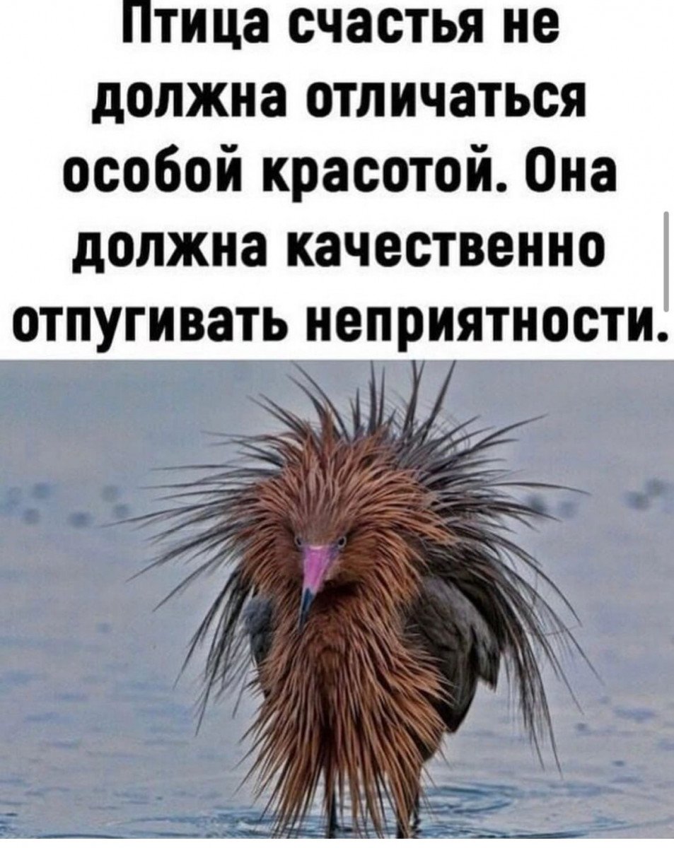 Владимир Агапов картины