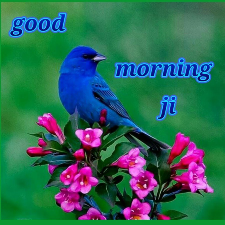 Хумо Зороастризм