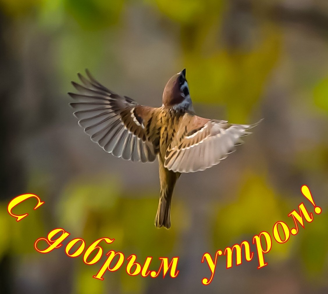 Открытки для поднятия настроения