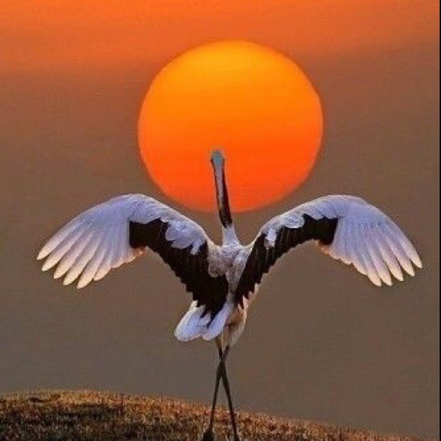 Афоризмы про счастье