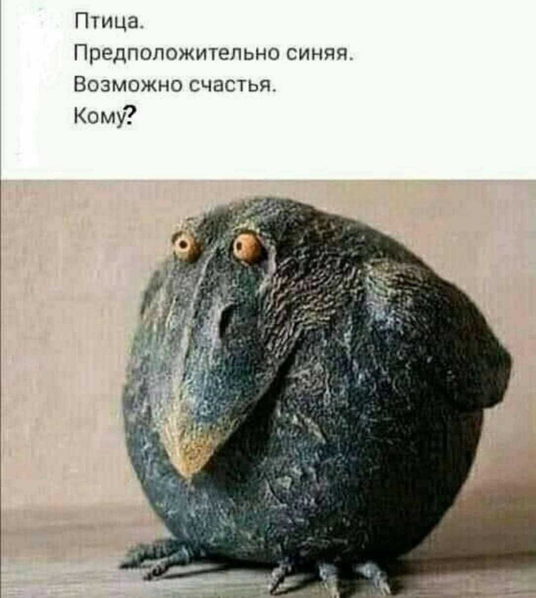 Птица счастья завтрашнего