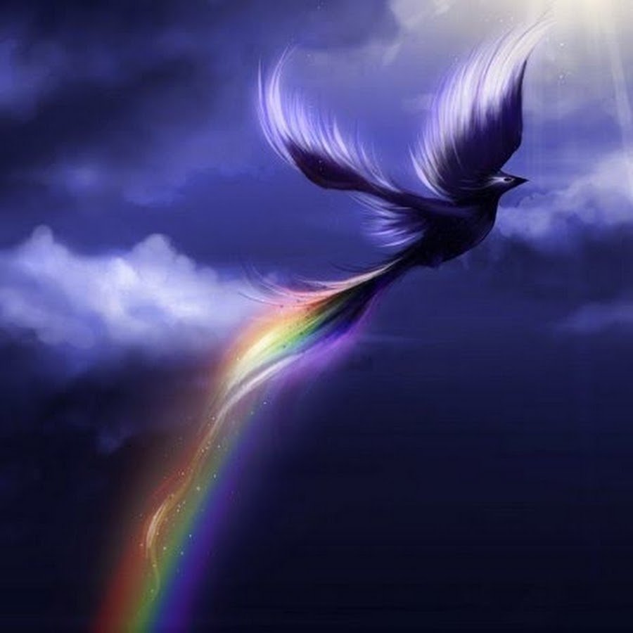 Художница Жозефина Уолл картины птица