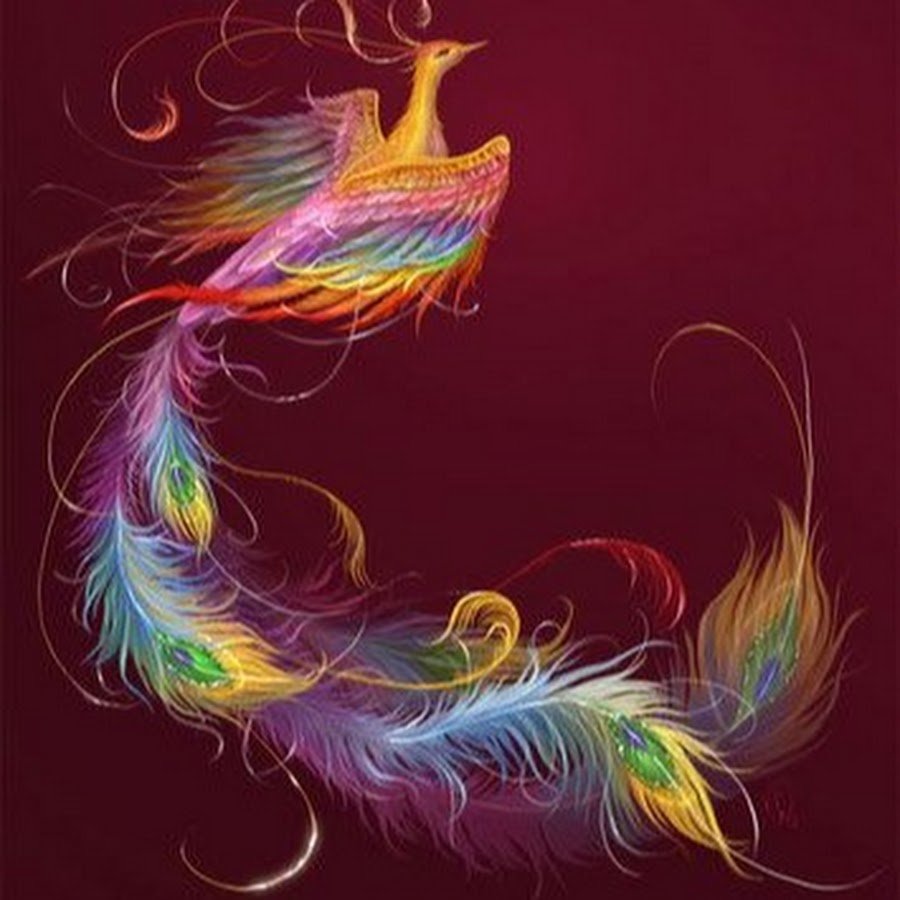 Птица счастья завтрашнего дня картинки