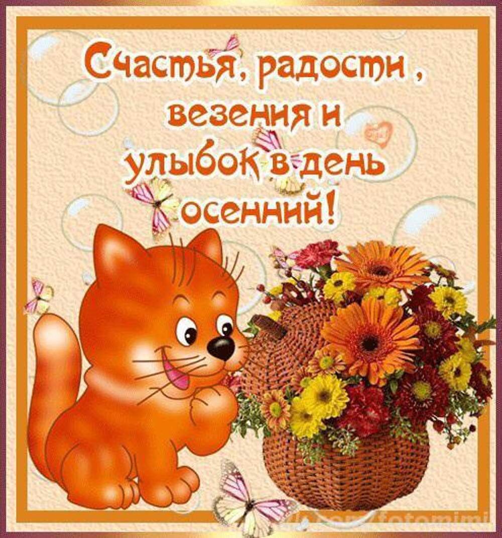 Хорошего дня доброго здоровья картинки