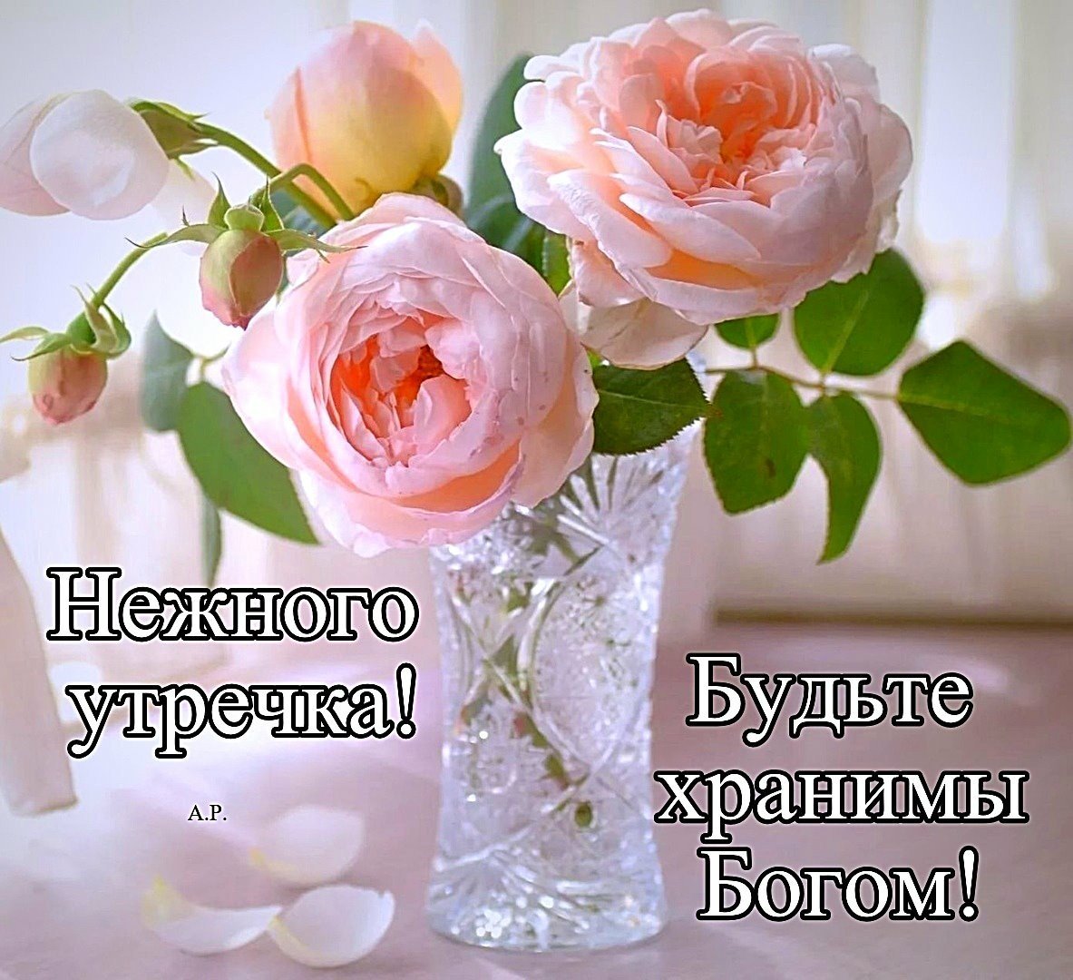 Доброе утро прекрасного дня