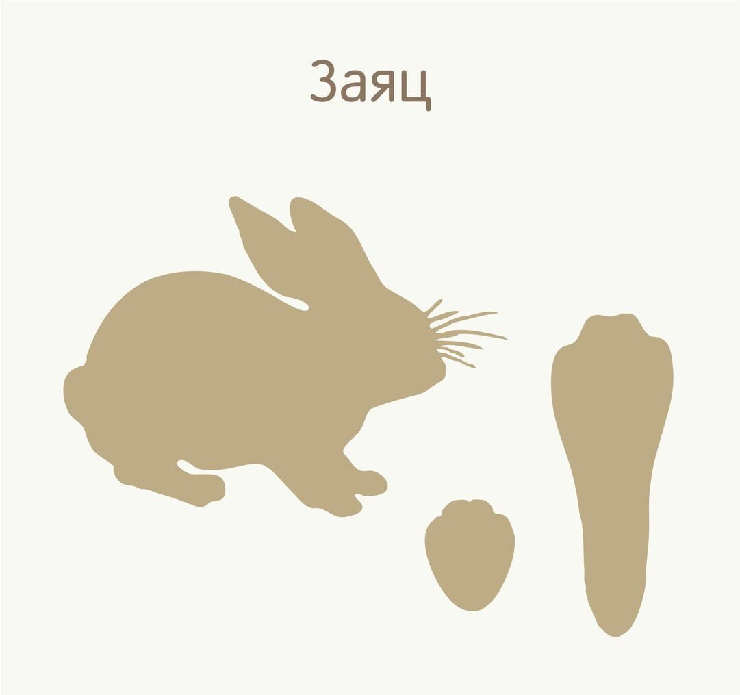 Следы на снегу