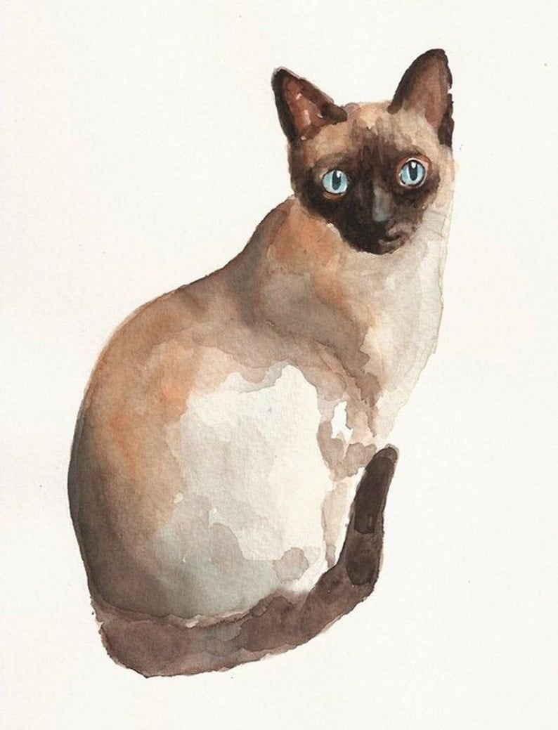Кот акварелью