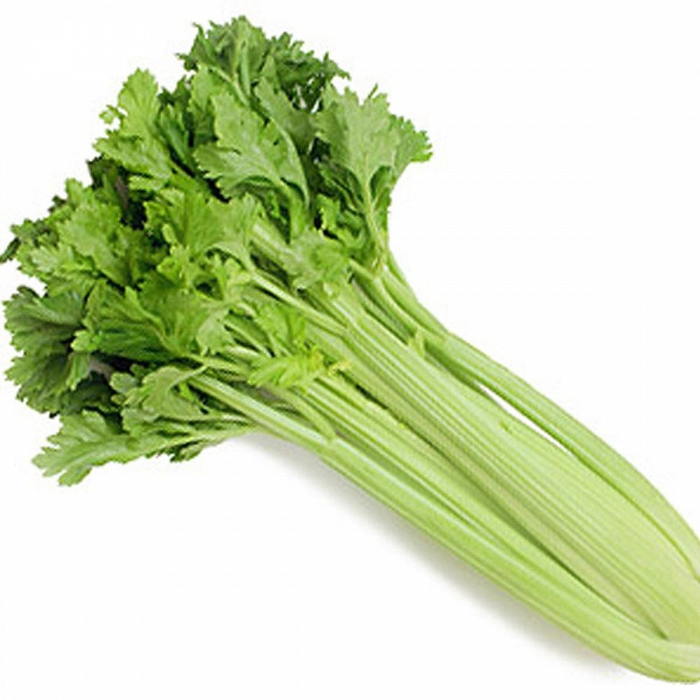 Зелень сельдерей черешковый