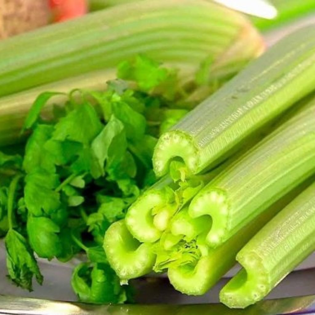 Сельдерей с круглым стеблем