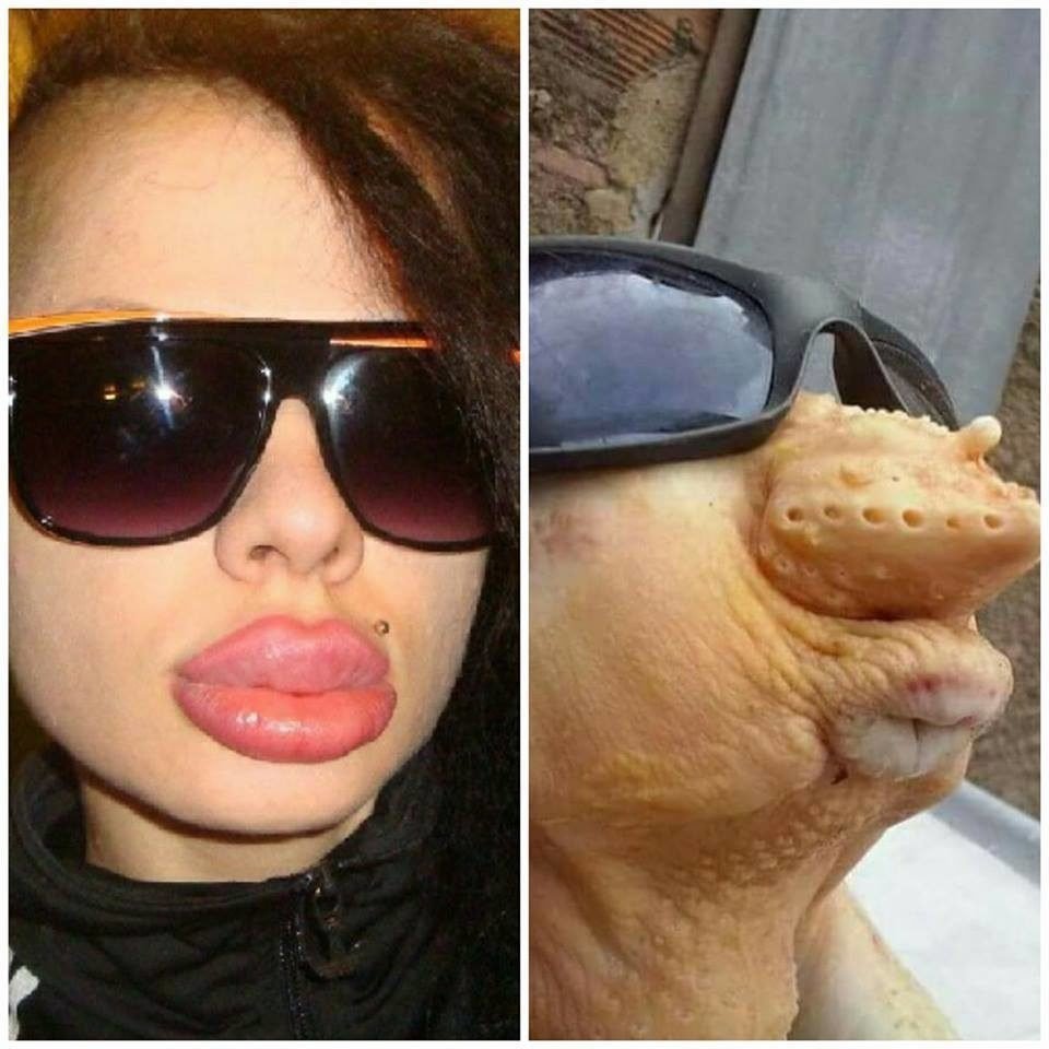 Самые смешные люди до слез