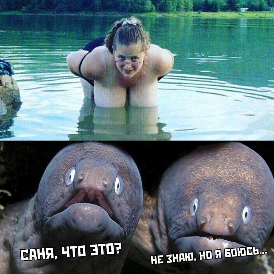 Ржака картинки приколы