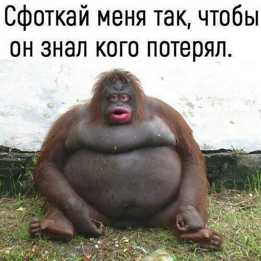 Утреннее селфи ожидание и реальность