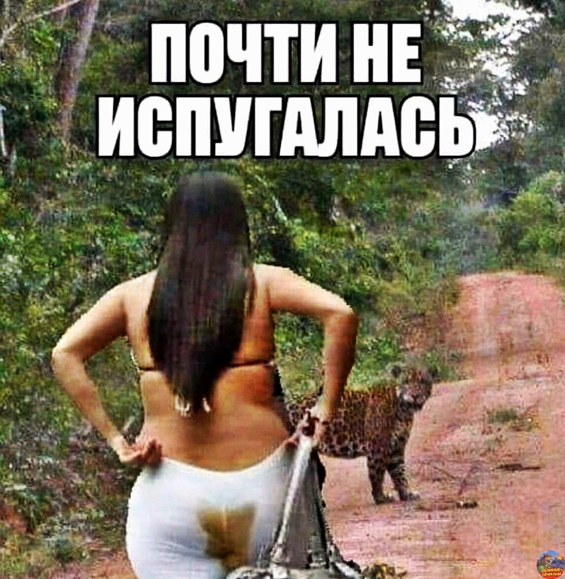 Приколы про Васю
