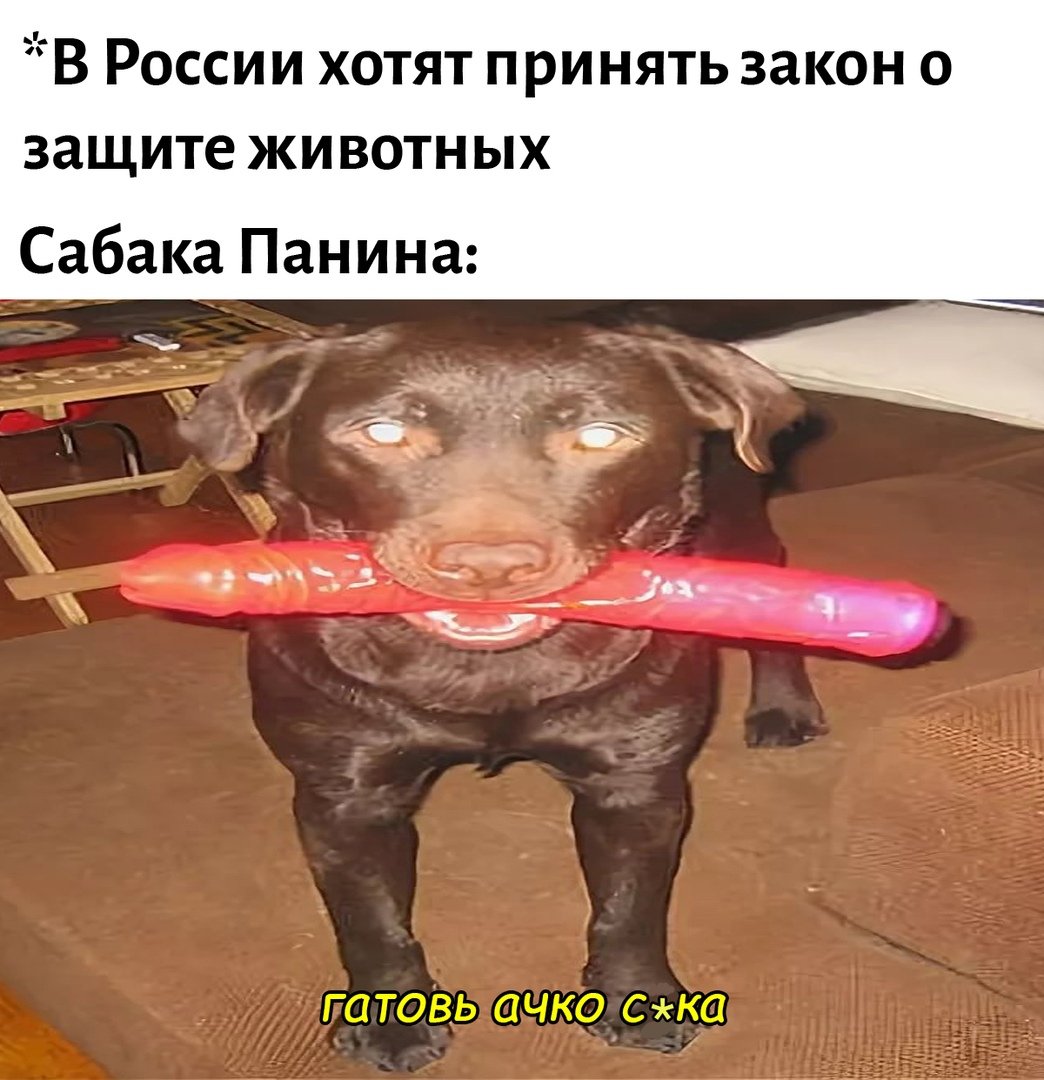 Шутки про смех