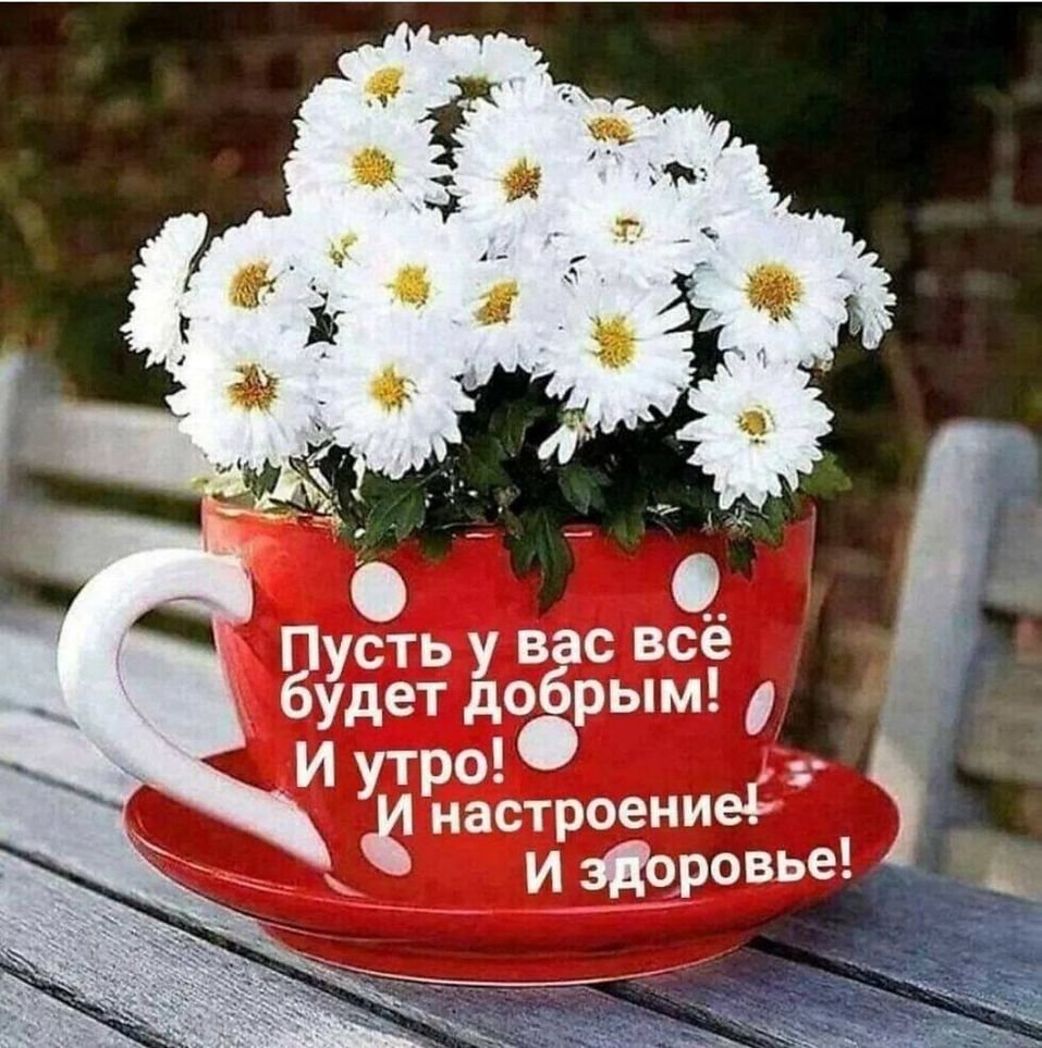 Хорошей субботы и отличного настроения