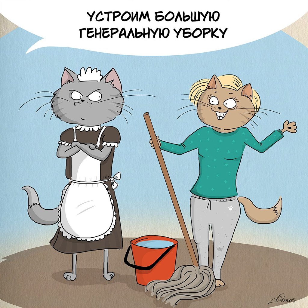 Смешные шутки про уборку