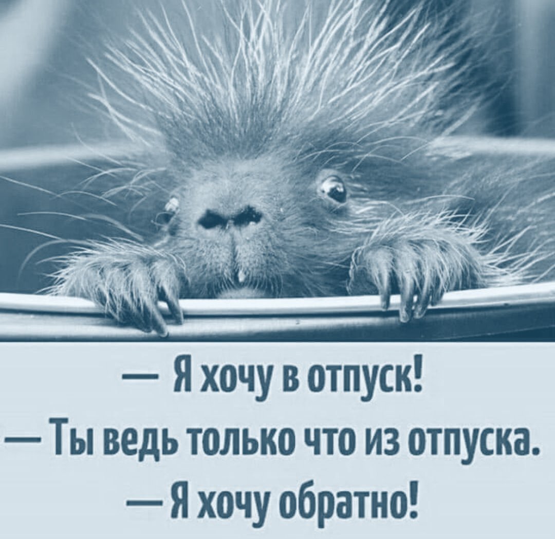 Я хочу в отпуск