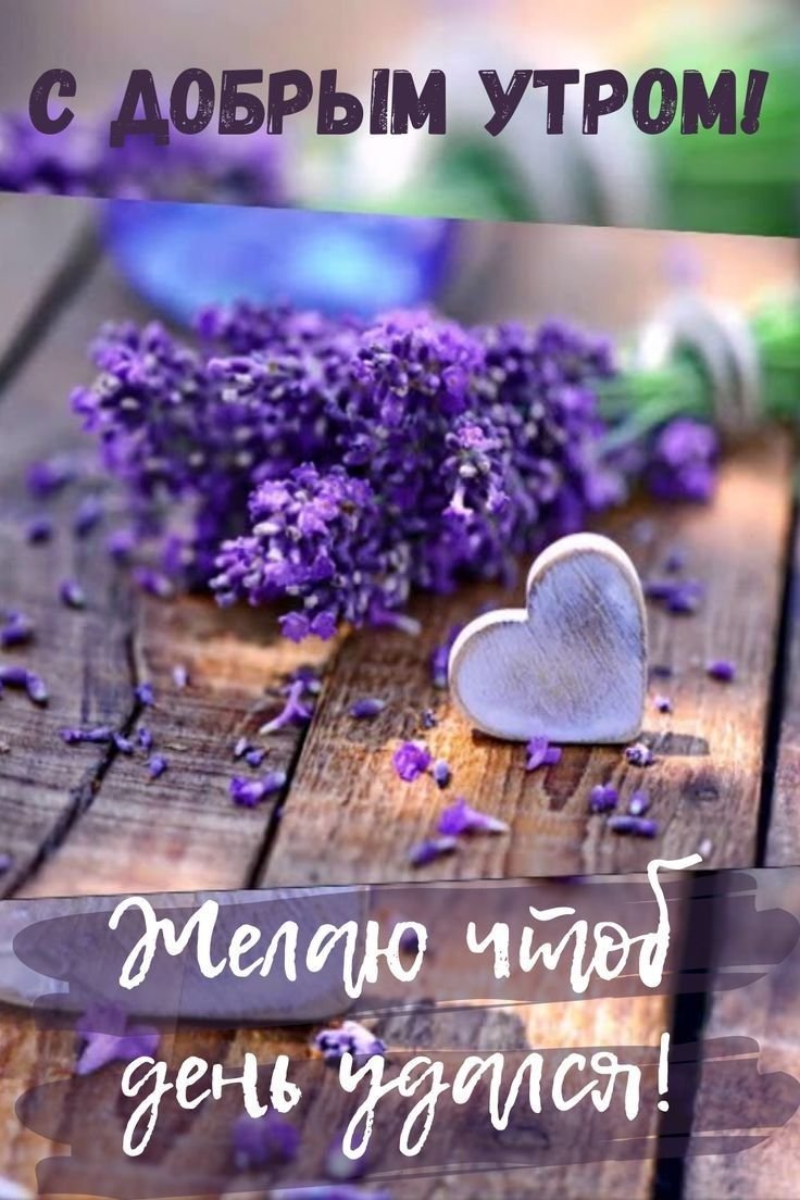 Высказывания с добрым утром