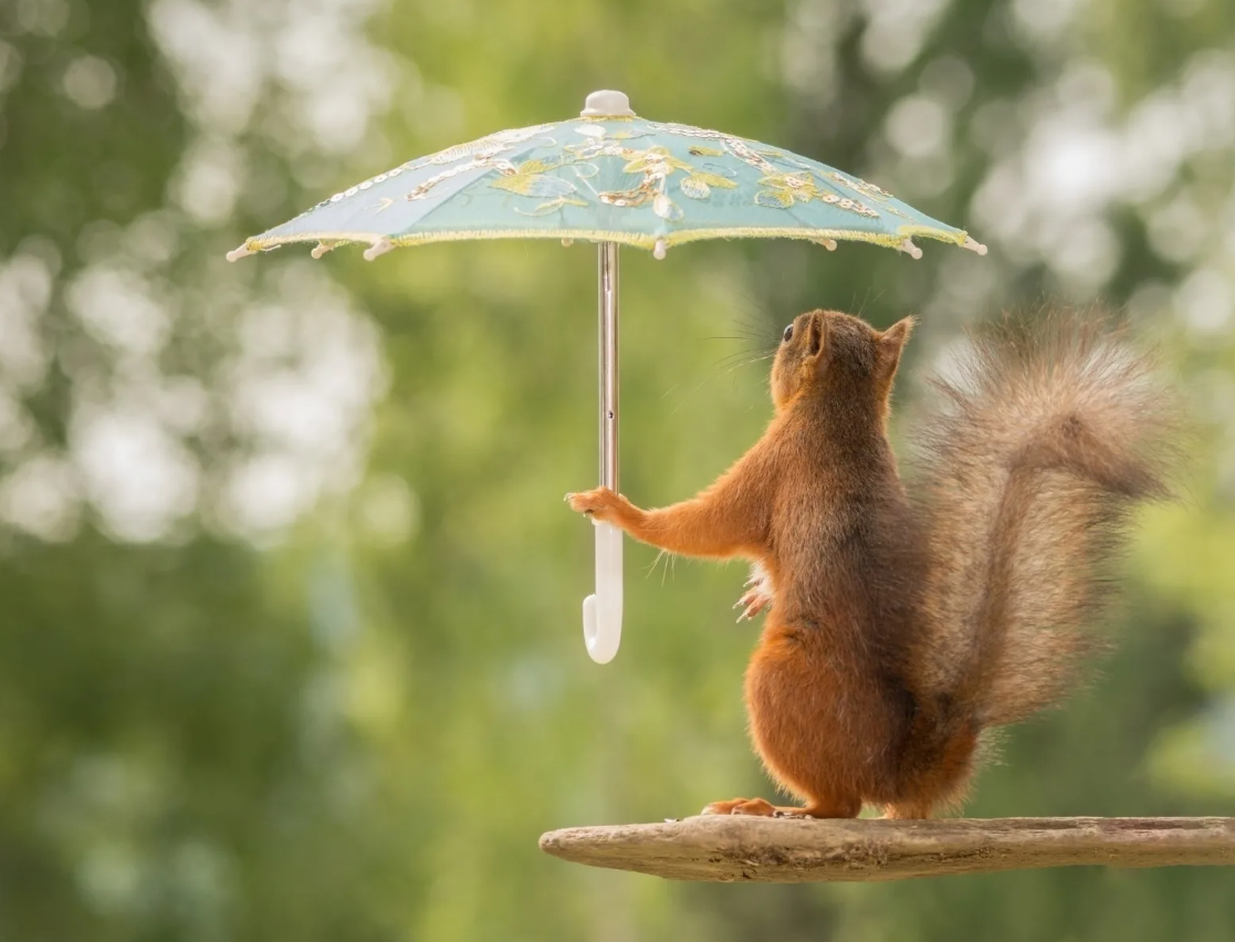 Позитивные игрушки