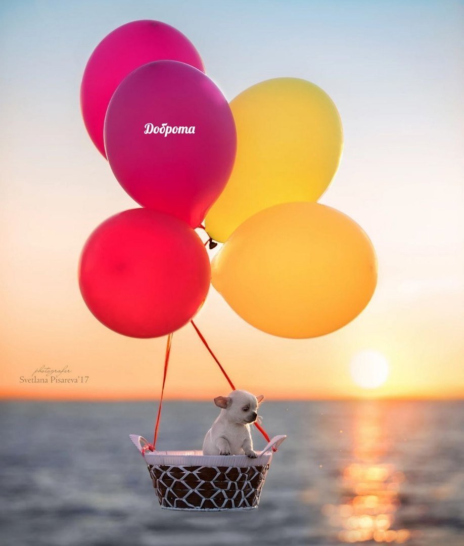 Море позитива