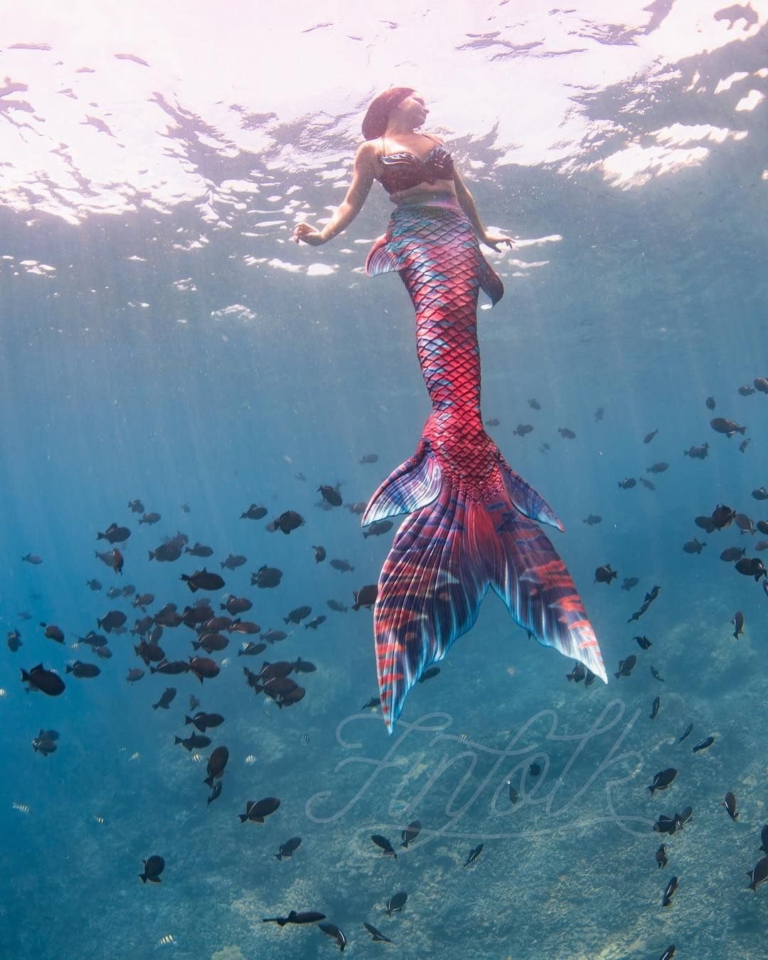 Рыба Русалка фото